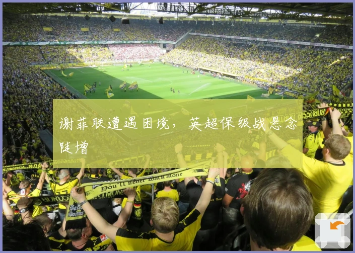 谢菲联遭遇困境，英超保级战悬念陡增