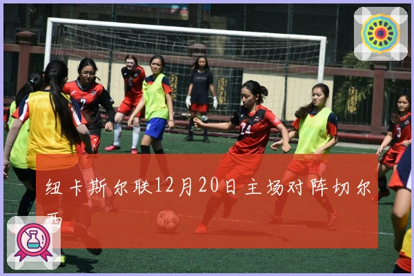 纽卡斯尔联12月20日主场对阵切尔西