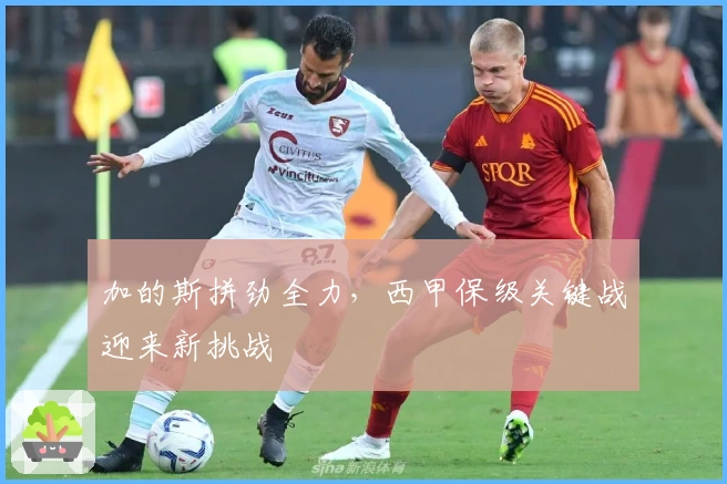 加的斯拼劲全力，西甲保级关键战迎来新挑战